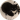 Hikori